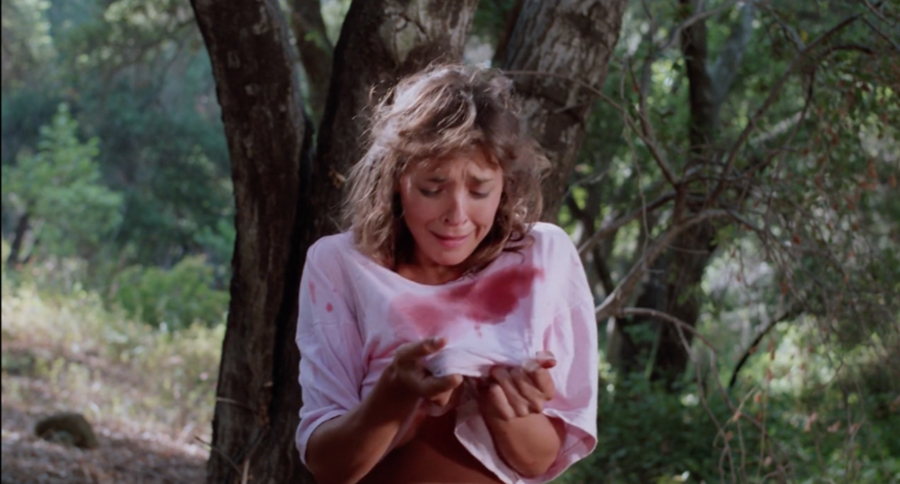 A scene from the movie Demonwarp