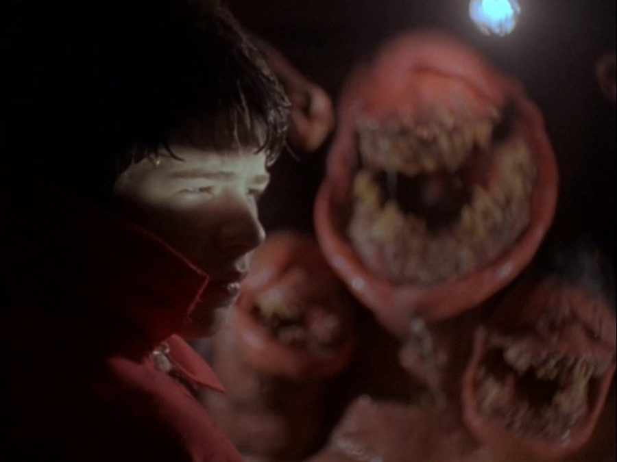 A scene from the movie The Deadly Spawn