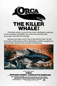 Orca, The Killer WHale