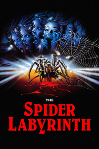 Spider Labyrinth